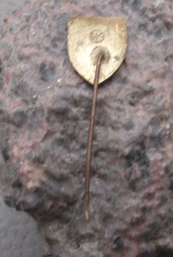 Antique Kasperk Golden Rampant Lion Czech Coat of Arms Heraldic Crest Pin Badge - Badgecrazy