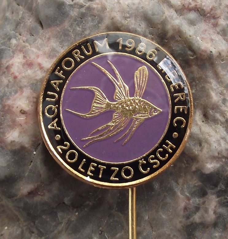 1986 Aquarium Tropical Fish Forum Czech Liberec Betta splendens Pin Badge - Badgecrazy