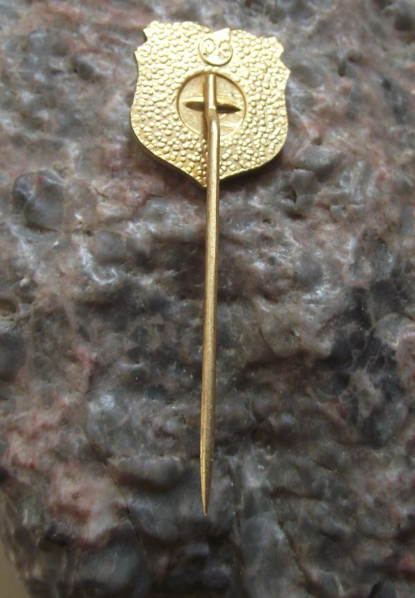 Antique Krasny Dvur Schonhof Eagle Heraldic Crest Coat of Arms Tourist Pin Badge - Badgecrazy