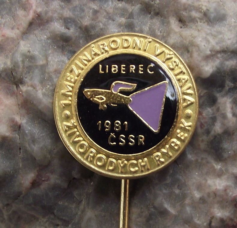 1981 Aquarium Tropical Livebearing Fish First 1st International Show Pin Badge - Badgecrazy