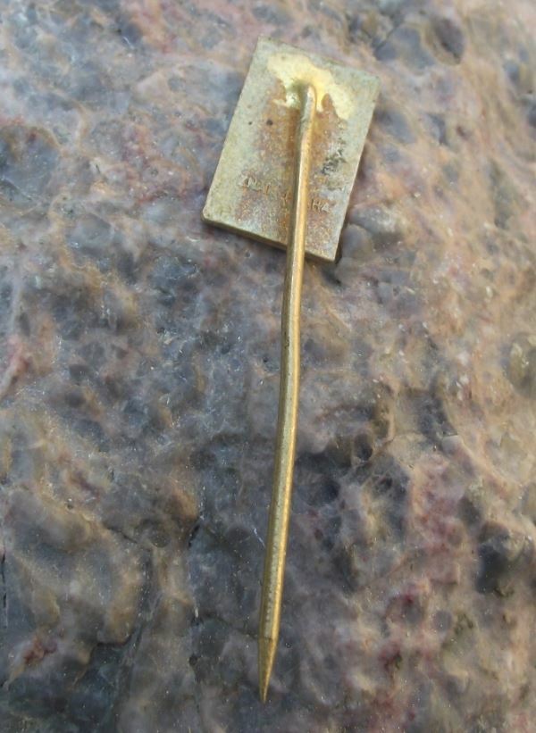 Antique State Fisheries Moravice Czechoslovakia Leaping Trout Fish Pin Badge - Badgecrazy