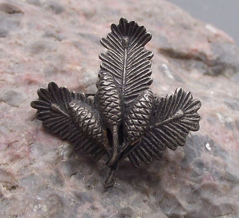 Vintage Hunting Association Emblem Pine Cones Fir Tree Clasp Hunters Pin Badge - Badgecrazy
