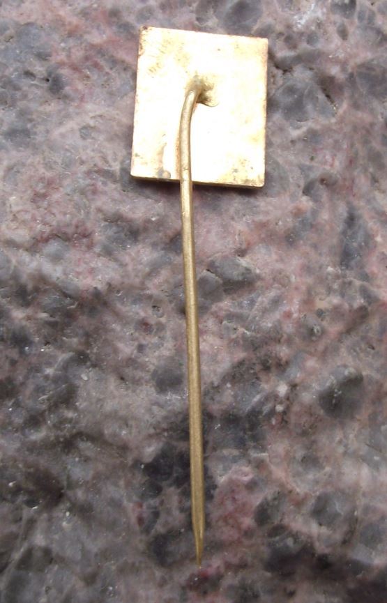 Antique Luhatschowitz Luhacovice Town Typical Spa House Tower Resort Pin Badge - Badgecrazy