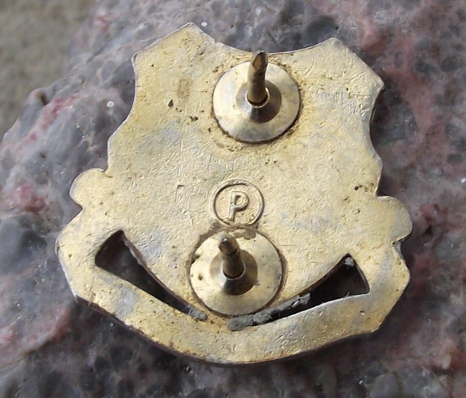 Vintage US Army 504th Supply and Transport Battallion DUI Clutchback Pin Badge - Badgecrazy