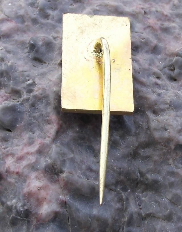 1974 Czech National Rowing Association 90th Anniversary Oar Logo Pin Badge - Badgecrazy
