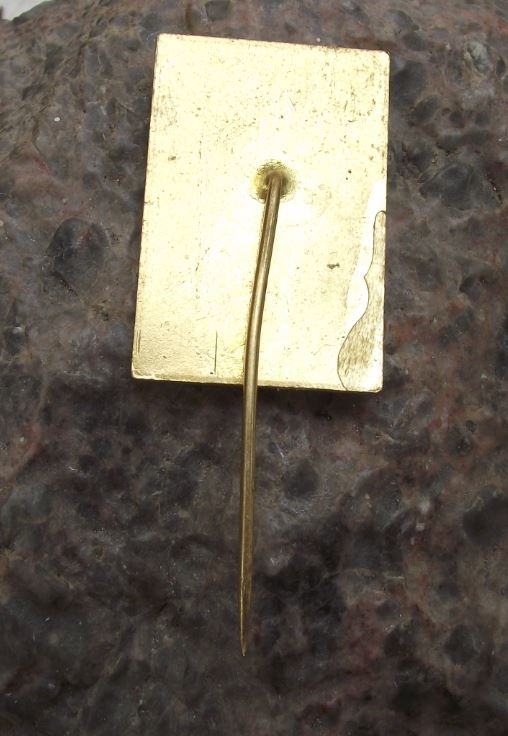 1979 Czechoslovakia Boxing Title Fight Usti nad Labem Glove Lion Pin Badge - Badgecrazy