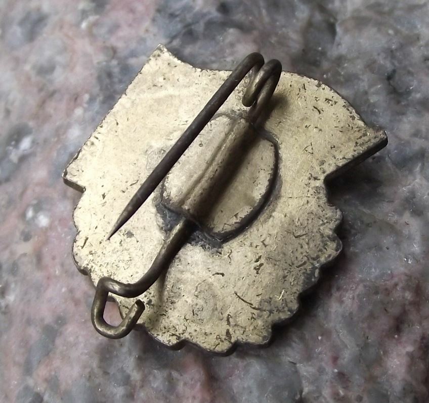 Vintage Thalmann Pioneers German Youth Good School Work DDR Book Award Pin Badge - Badgecrazy