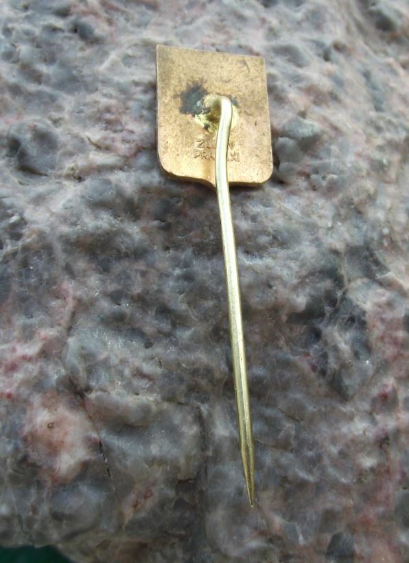 Antique Vodnany Wodnian Czech Town Heraldic Crest Coat of Arms Pin Badge - Badgecrazy