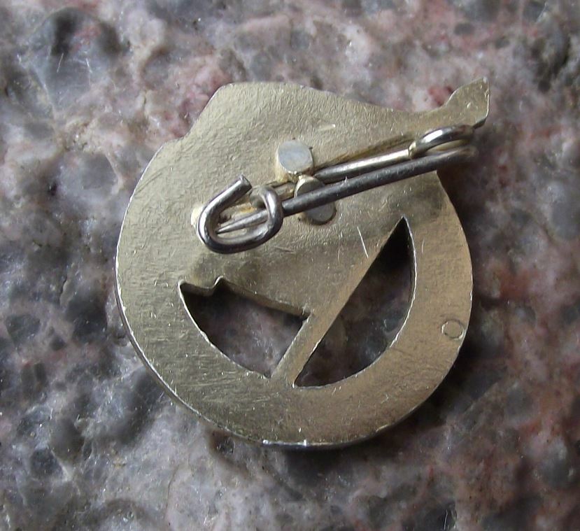 1967 FDJ Freie Deutsche Jugend East Germany Youth Parliament DDR Pin Badge - Badgecrazy