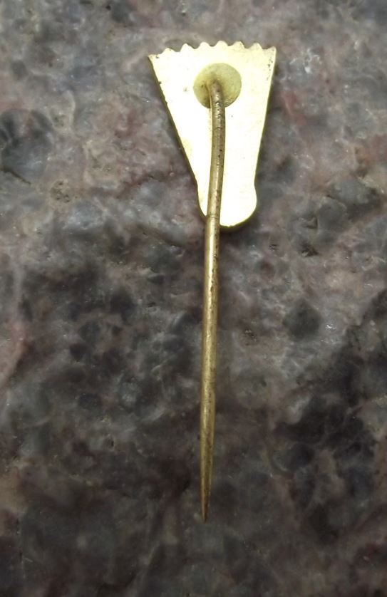 Vintage Badminton Association Czechoslovakia Czech Shuttlecock Members Pin Badge - Badgecrazy