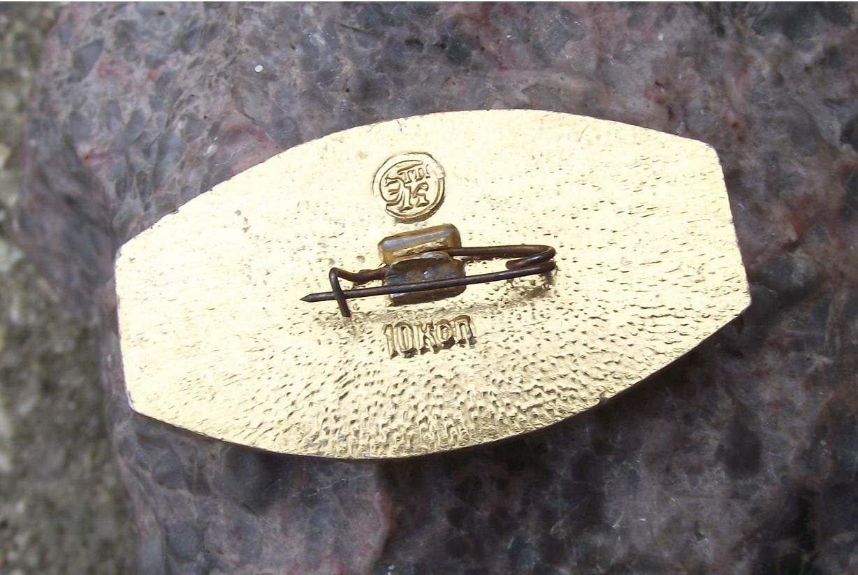Vintage Russian Georgia Class Passenger Ship Cruise Ocean Liner Pin Badge - Badgecrazy
