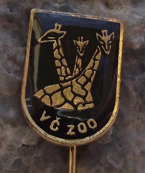 Antique Group Giraffe Herd Safari Park Dvur Kralove Czech Zoo Visitors Pin Badge - Badgecrazy