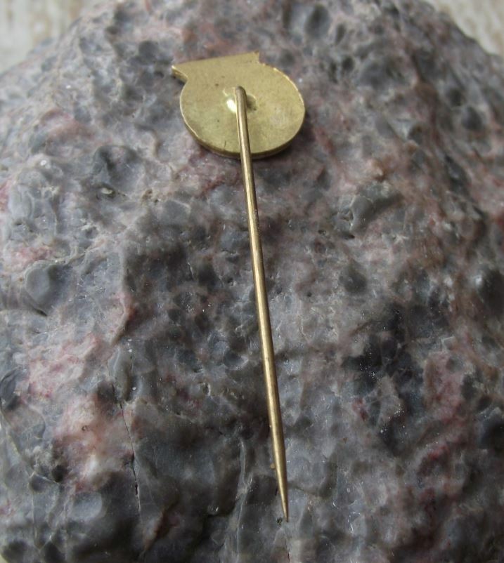 Vintage Svazarm Czech Army Military Reserves All Round Training Award Pin Badge - Badgecrazy