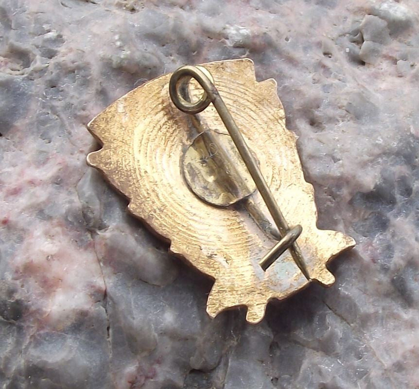 1961 Romania State Championships Art Artist Search Romanian Cultural Pin Badge - Badgecrazy