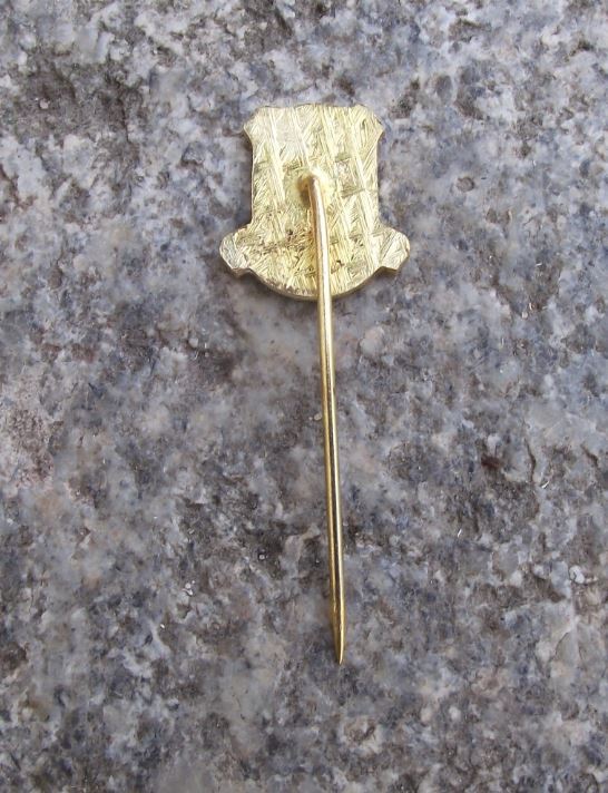 Tyniste nad Orlici Shield & Tree Official Czechoslovak Heraldic Crest Pin Badge - Badgecrazy