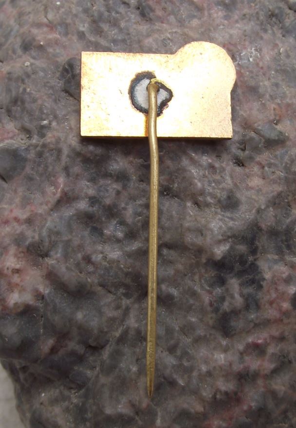 Antique Skoda Autos Czech Car Company Logo AutoSkoda Motif Pin Badge