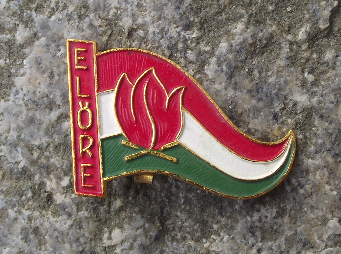 Vintage Hungary Young Pioneer Movement Elore Forward Slogan Flag Pin Badge - Badgecrazy