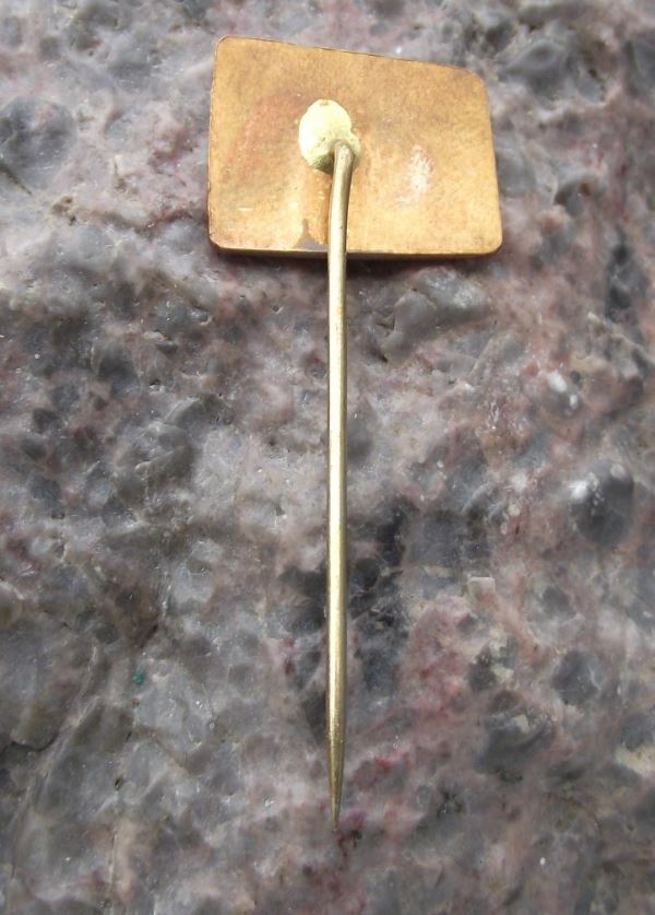 Vintage Letovice Lettowitz Blansko Monastery Tourist Souvenier Pin Badge - Badgecrazy
