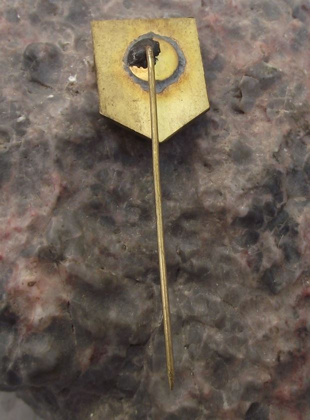 Antique Keszthely Kesthel Hungary Festetics Palace Tourist Souvenier Pin Badge - Badgecrazy