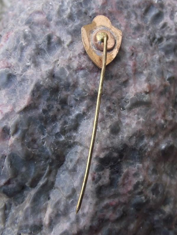 Vintage FCM SC Bacau Romania Soccer Football Club Crest Shield Pin Badge - Badgecrazy