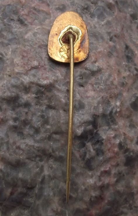 Antique Czech Hejnice Liberec Baroque Franciscan Monastery Basiclica Pin Badge - Badgecrazy
