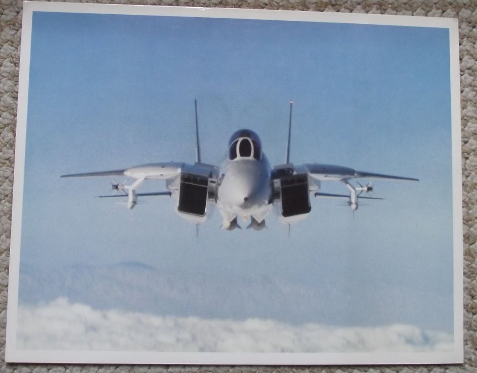 1978 Grumman Aerospace F-14 Tomcat US Navy Aircraft Photographic Print Photo - Badgecrazy