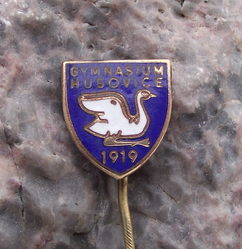 Vintage Gymnazium Brno Husovice Elgartova High School Czechoslovakia Pin Badge - Badgecrazy