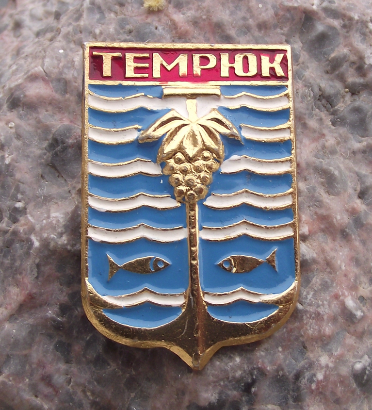 Vintage Temryuk Soviet Union Coat of Arms Heraldic City Crest Anchor Pin Badge - Badgecrazy