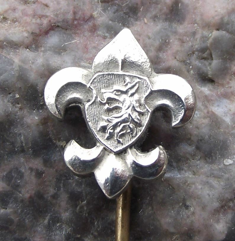 Antique Czechoslovakia Boy Scouts Association Fleur de Lis Symbol Pin Badge - Badgecrazy
