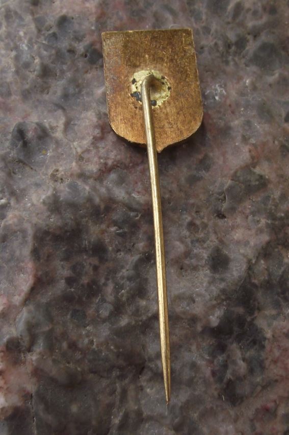 Bardejov Bartfeld Slovakia City Coat of Arms Heraldic Crest Pikes Pin Badge - Badgecrazy