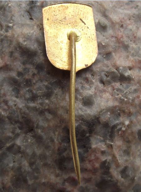 Antique Luhatschowitz Luhacovice Town Heraldic Official Coat Arms Pin Badge - Badgecrazy