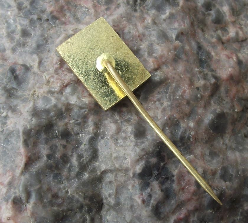 Neustadt an der Mettau Nove Mesto nad Metuji Town Square Castle Pin Badge - Badgecrazy