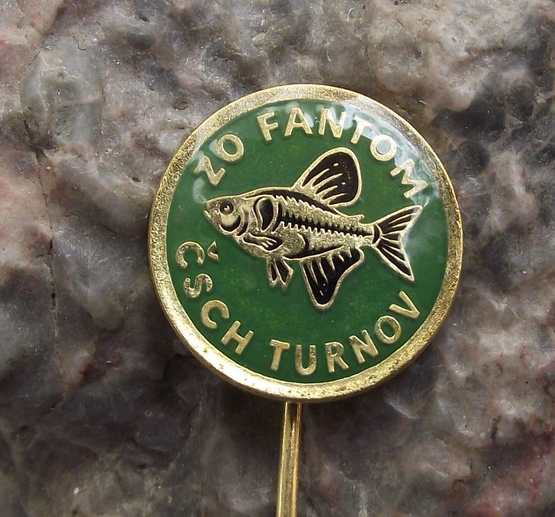Antique Aquarium Tropical Fish Black Phantom Tetra Club Turnov Pin Badge - Badgecrazy