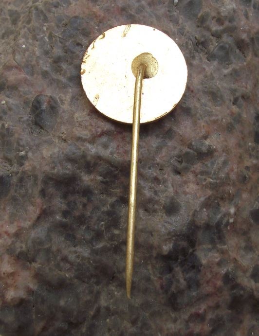 1973 International Dog Breeders Club Show Event Brno Pointer Breed Pin Badge - Badgecrazy