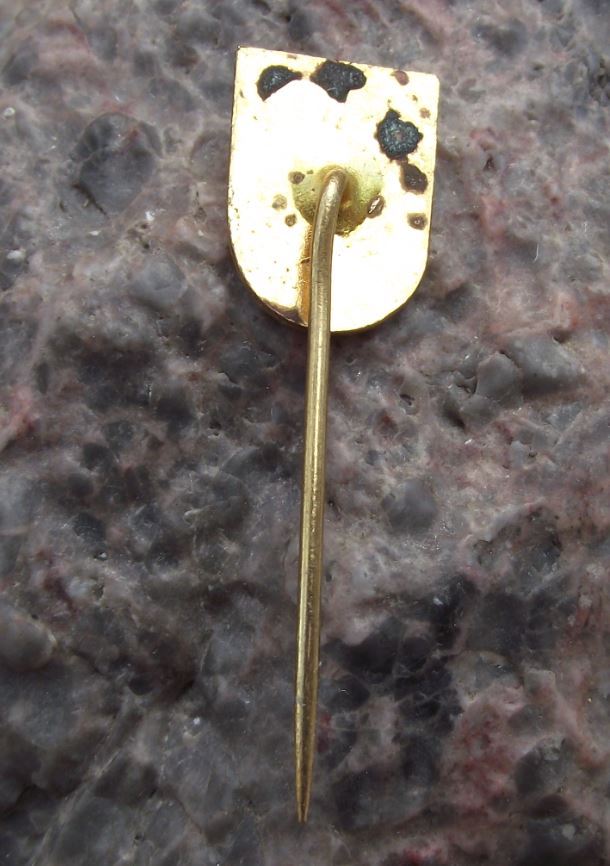 Antique Zamek Melnik Czech Castle Palace Coat of Arms Heraldic Crest Pin Badge - Badgecrazy