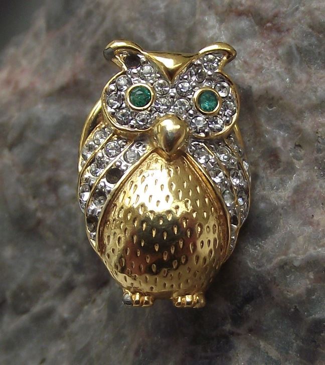 Beautiful Encrusted Clear Stone Jewellery Wise Owl Sitting Brooch Pin Badge - Badgecrazy