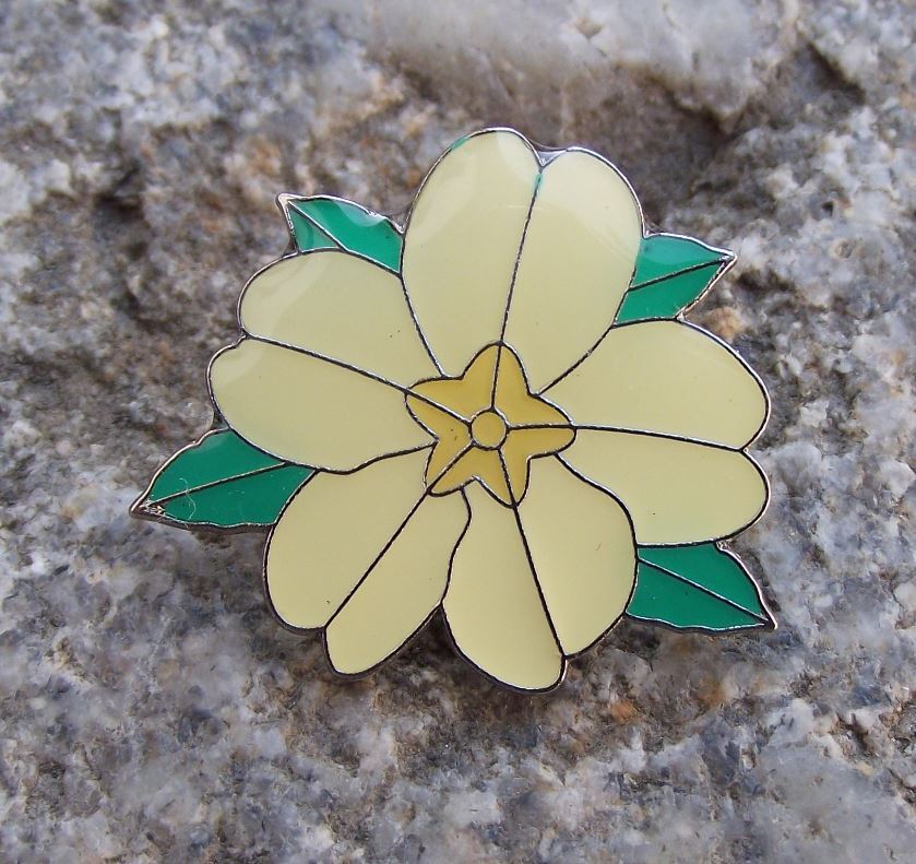 Beautiful Primula vulgaris English Primrose Summer Flower Brooch Pin Badge - Badgecrazy