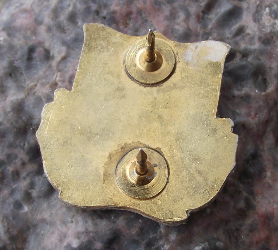 Vintage US Army 385th Military Police Battallion DUI Clutchback Pin Badge - Badgecrazy