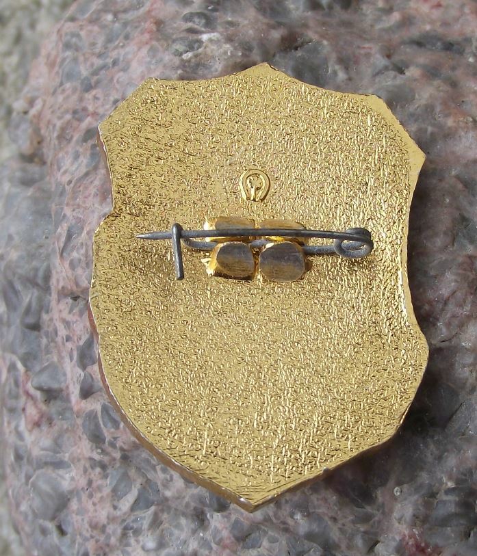 Vintage Soviet Union Voluntary People's Druzhina State Public Order Pin Badge - Badgecrazy