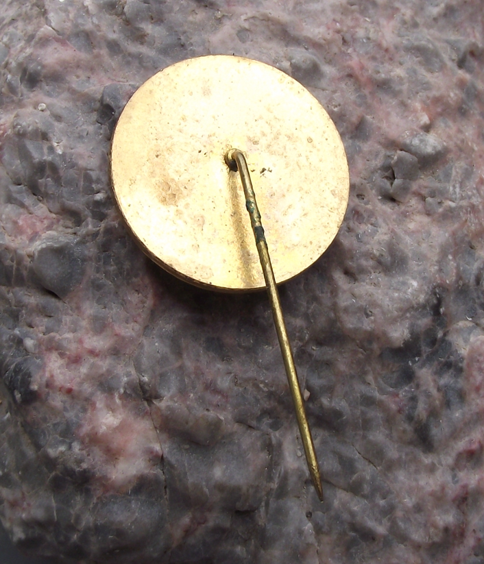1981 Svazarm Temenice Czech Army Reserve 30th Anniversary Military Pin Badge - Badgecrazy