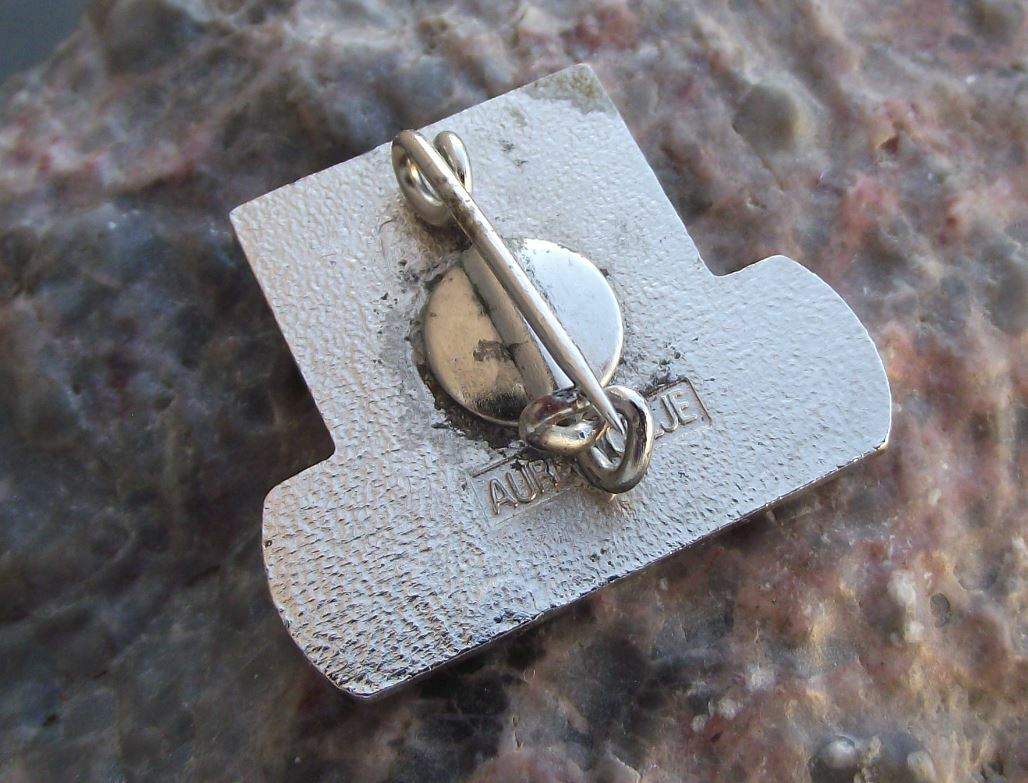 Rare Vintage WANG Pioneering Historic Computer USA Computing Company Pin Badge - Badgecrazy