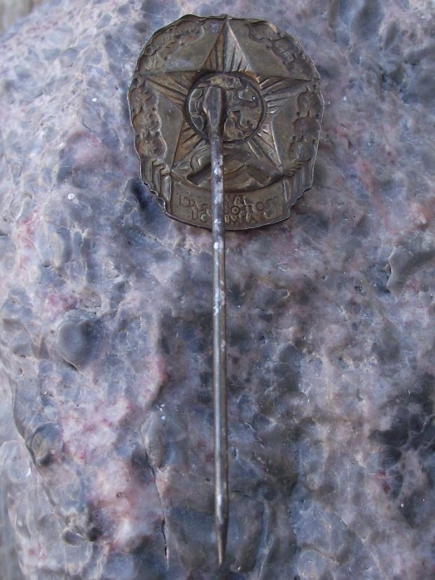 Vintage Svazarm Czechoslovakia Military Army Reserves Lion Star Emblem Pin Badge - Badgecrazy