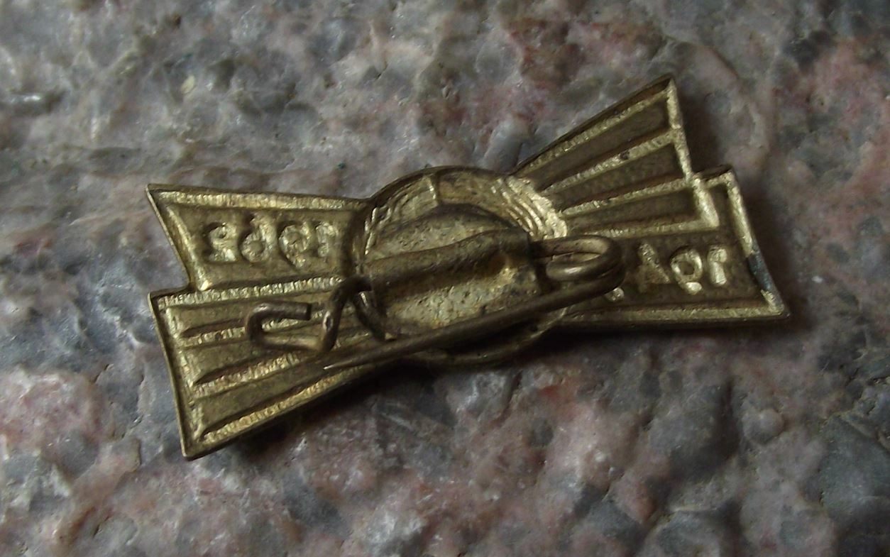 1962 East Germany DDR GDR Soviet Friendship 13th Anniversary Flags Pin Badge - Badgecrazy