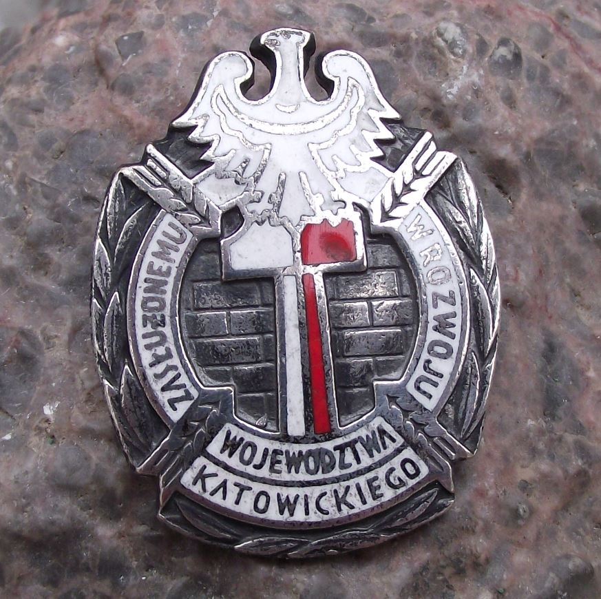 Antique Development of Katowice Poland Award White Eagle Crest Polish Pin Badge - Badgecrazy