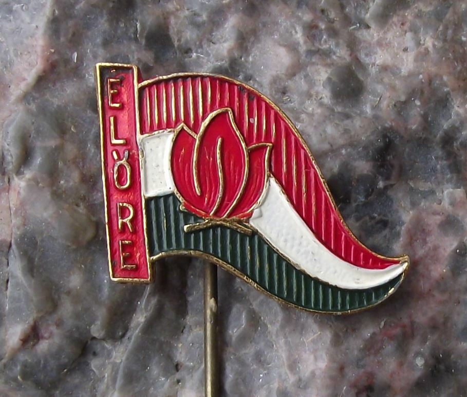 Antique Elore Forward Slogan Hungarian Young Pioneer Movement Scouting Pin Badge - Badgecrazy