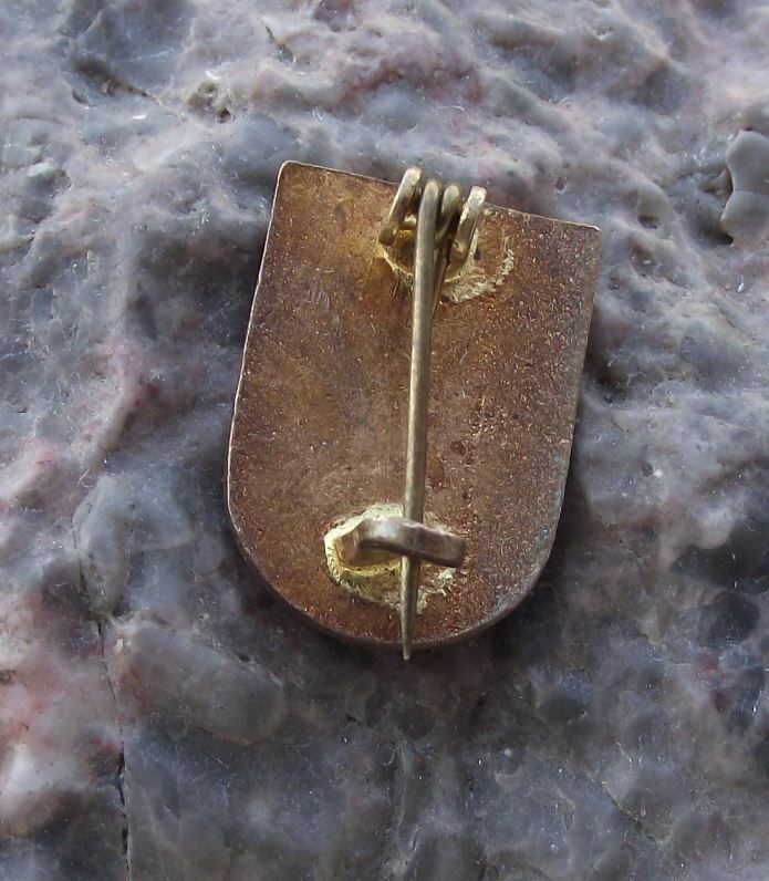 Antique Steinach am Brenner Tyrol Austria Heraldic Crest Coat of Arms Pin Badge - Badgecrazy