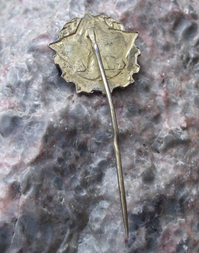 1954 Svazarm Czechoslovak Paramilitary Army Military Exercises DZBZ Pin Badge