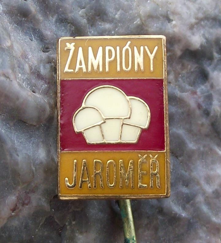 Czech Mushroom Farm Farming Jaromer Czechoslovakia Mycologist Pin Badge - Badgecrazy