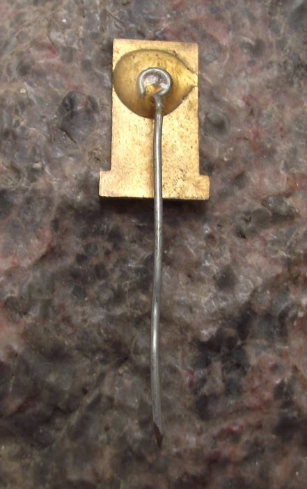 Antique Litomerice Leitmeritz Baroque Lookout Tower U Kalicha Pin Badge - Badgecrazy