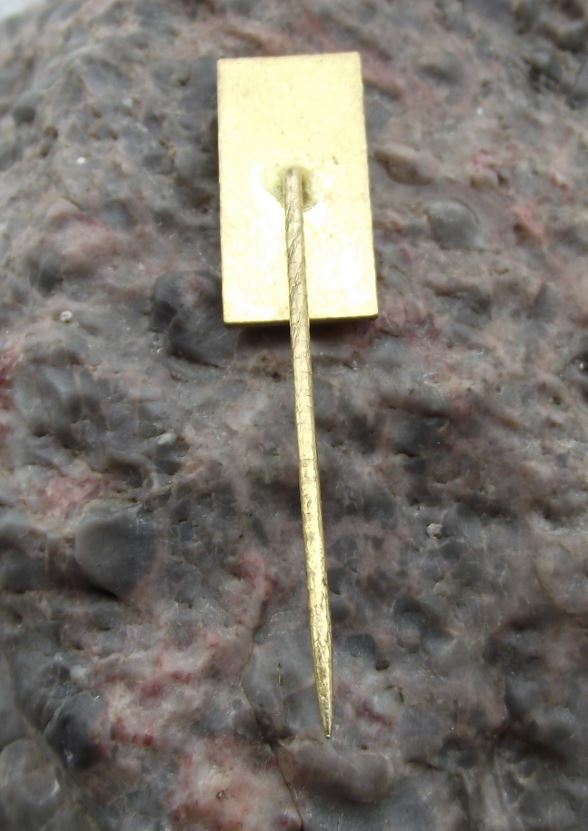 Vintage Turnov Turnof Czech Gemstone Working Renaissance Town Hall Pin Badge - Badgecrazy